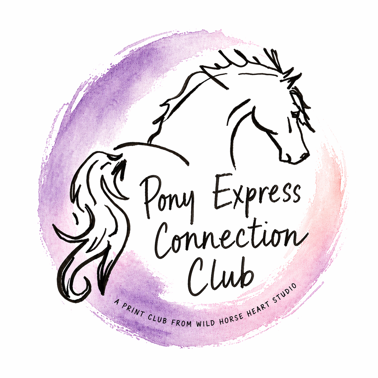Pony Express Mane